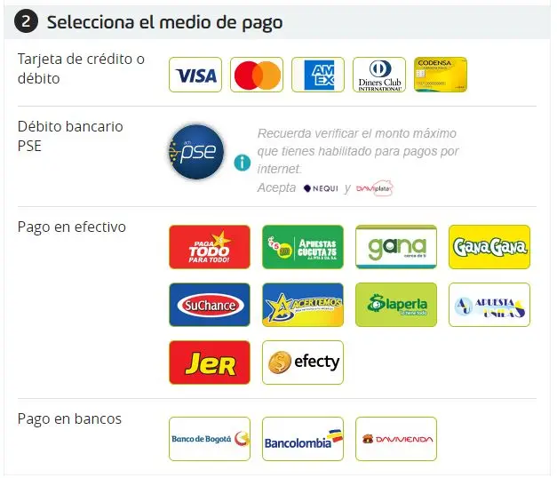 Medios de pago - Curso de desarrollo ING en Chile
